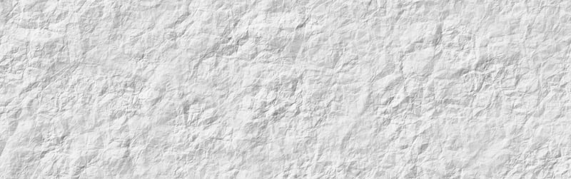 Website Header